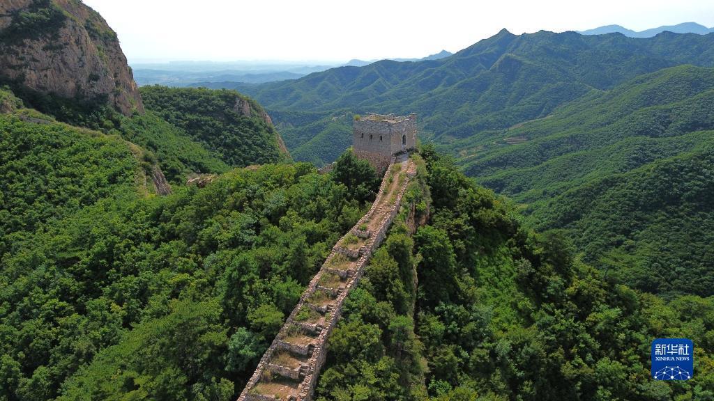 菲猫娱乐